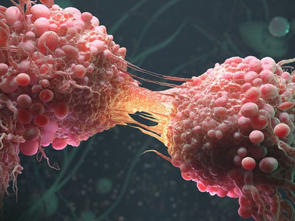 Kanser Hücrelerinin Bükemediği Tek Bilek: Mutluluk Hormonu