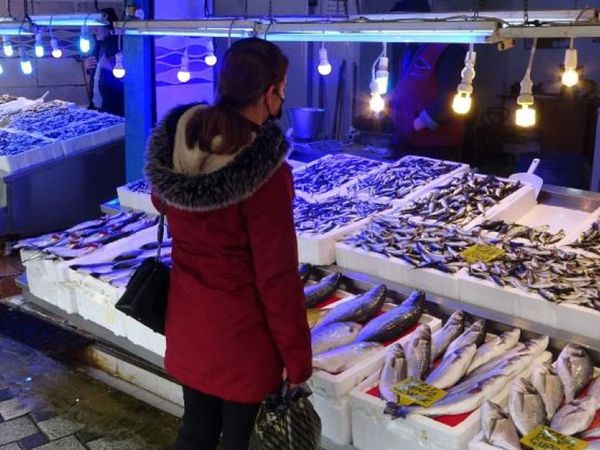 Kar Yağışı Balıkçıların Yüzünü Güldürdü: Karadeniz’de Hamsi Bereketi
