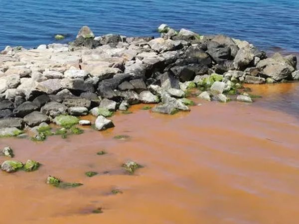Karadeniz harekete geçti! Hız kesmeden numune alındı