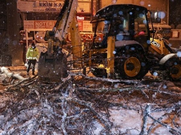 Karla Kaplanan Ağaç Aracın Üzerine Düşüyor