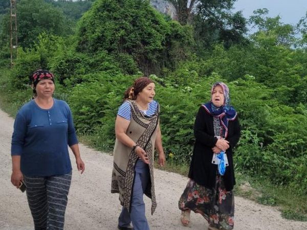 Kastamonu'da ayılar gündüzleri yerleşim yerlerine inmeye başladı! Mahalle sakinleri tedirgin