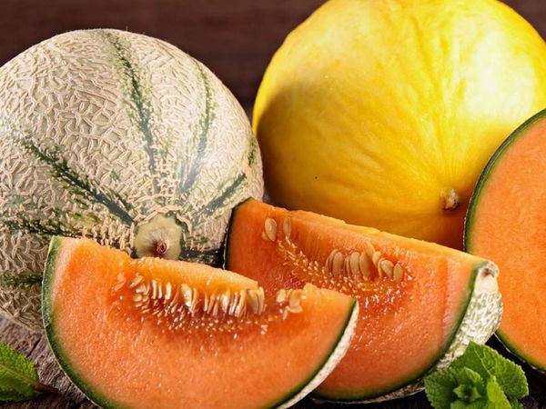 Kavun Çekirdeğinin Faydaları Neler?