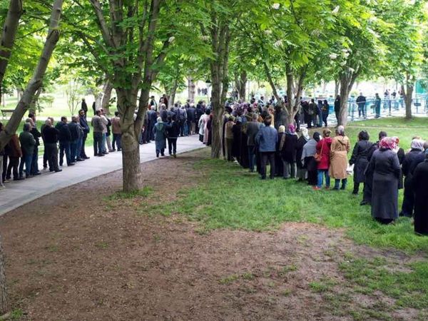 Kayseri'de metrelerce kuyruk oluştu: Vatandaşlar organik domates fidesi alabilmek için birbiriyle yarıştı!