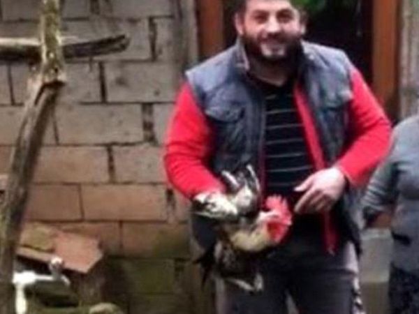 Kesilmek Üzere Olan Horoz Dile Geldi!