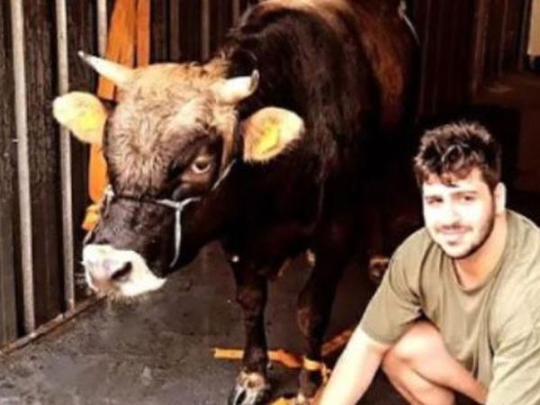 Kız Arkadaşı Yüzünden Hayatı Cehenneme Döndü! 3 Bıçaklı Şahıssa Dövdürdü