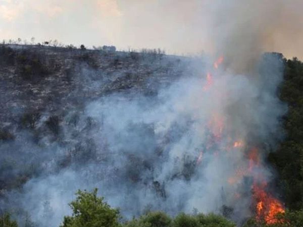 Kocaeli'nde korkutan oran yangını!