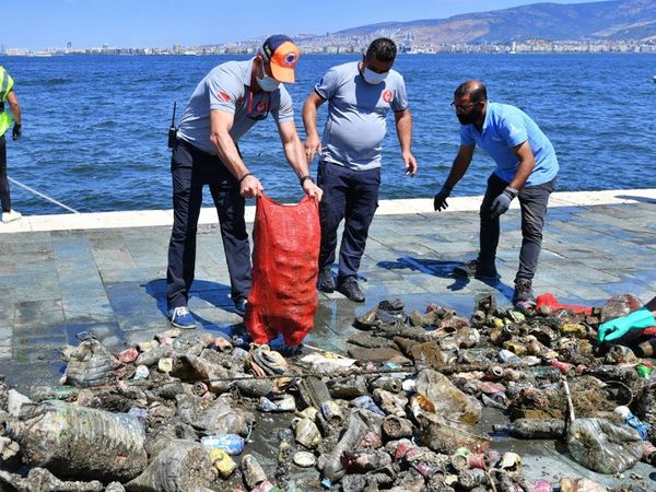 Körfezde Denizden Çıkanlar Pes Yahu Dedirtti
