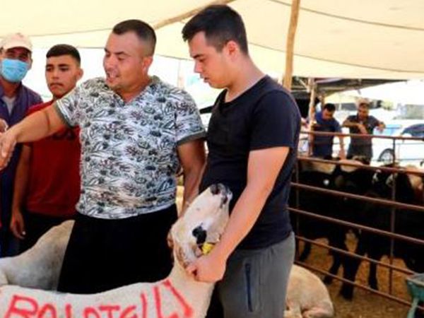 Koyunun İsmini Görünce Dayanamadı Hiç Düşünmeden Satın Aldı!