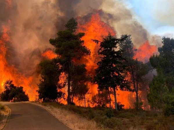 Kudüs’te Yangın Paniği! 2 Bin 650 Dönüm Arazi Küle Döndü