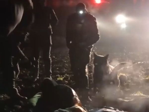 Litvanya’da İnsanlık Dramı: Göçmenlerin Üzerine Köpek Saldılar