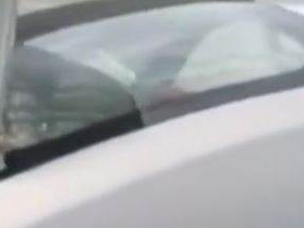 Başı Hoparlör Boşluğuna Sıkışan Köpek Hayvanseverleri Üzdü