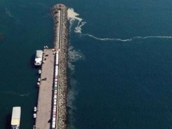 Marmara Denizi'nde 4 Metre Uzunluğunda Dev Köpek Balığı Yakalandı