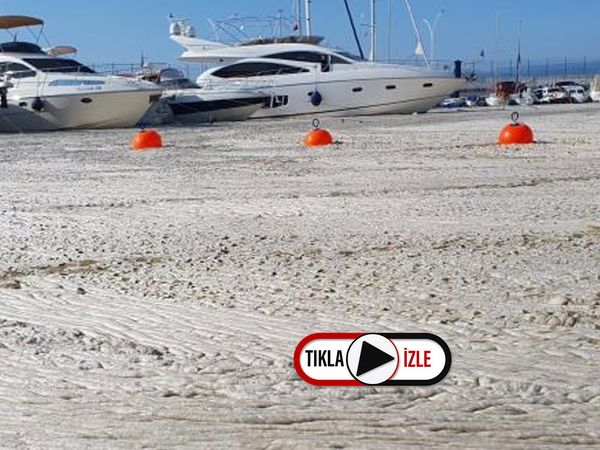 Marmara Denizi'ndeki Deniz Salyası Yakından Görüntülendi: Betonla Kaplı Gibiydi