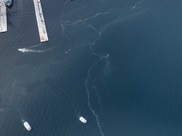 Marmara Denizi'nin kabusu geri döndü: Beylikdüzü açıklarında müsilaj izleri görüldü