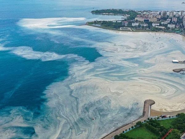 Marmara’da müsilaj tekrar ortaya çıktı