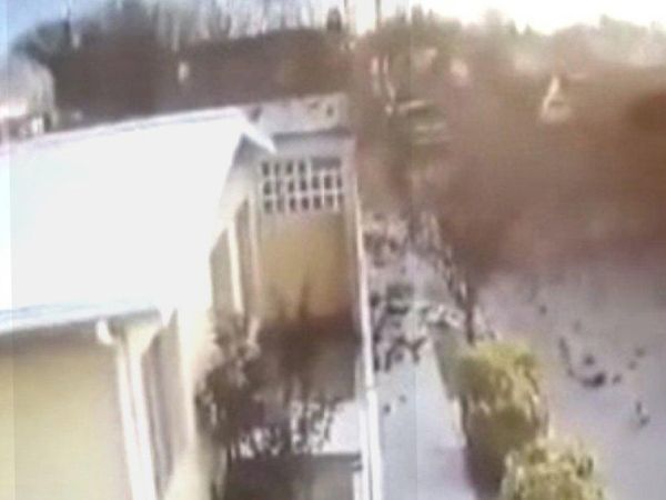 Meksika'da Akıl Almaz Olay! Kuş Sürüsü Bir Anda Yere Çakıldı
