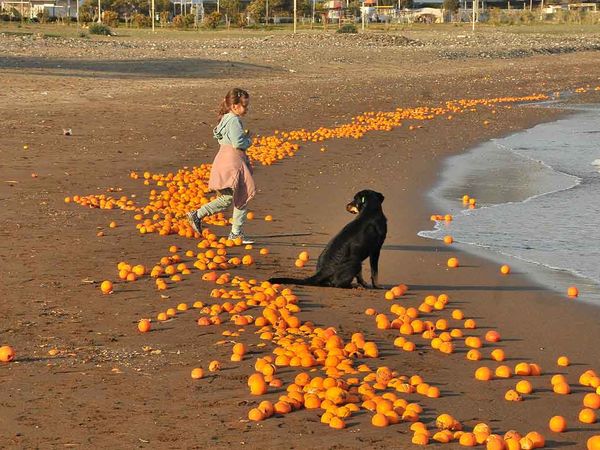 Mersin’den görenleri hayrete düşüren görüntüler: Sahile portakal vurdu!