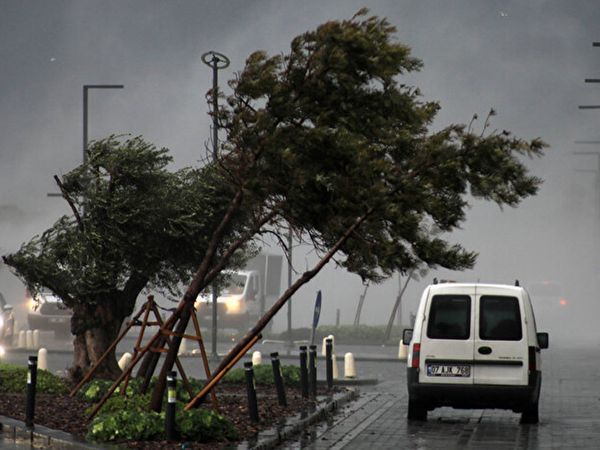 Meteoroloji Uyarmıştı! Antalya’da Etkili Olan Şiddetli Fırtına Ağaçları Devirdi!