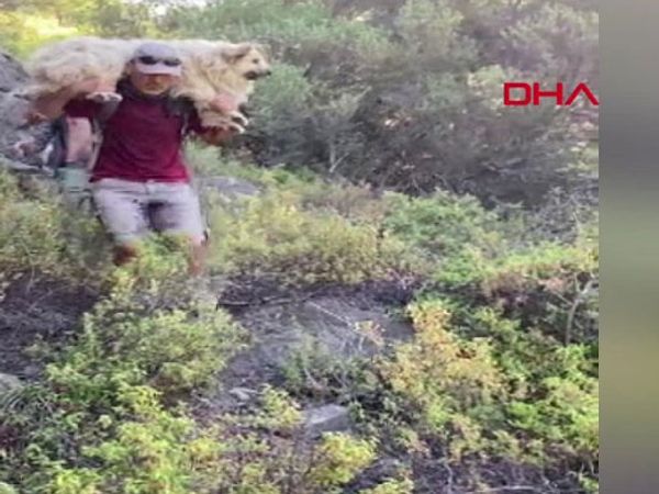 Muğla'da Bulunan Kayıp Köpeği Ekipler Sırtında Taşıdı