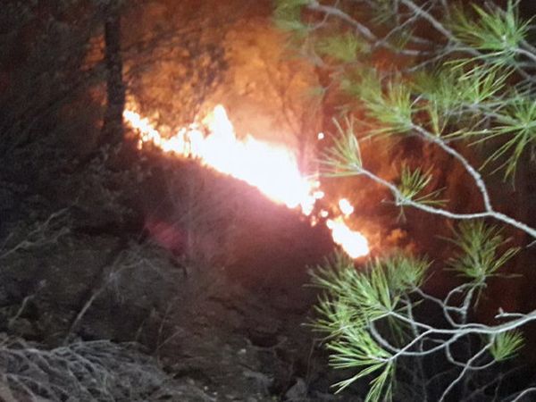 Muğla'da Çıkan Yangında 29 Hektar Zarar Gördü