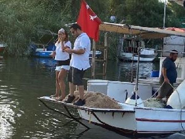 Muğla’da Nesli Tükenme Tehlikesi Olan Ölü Foka Otopsi Yapılacak