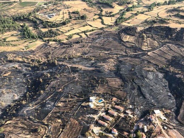 Muğla’da Yanan Ormanlık Bölge Havadan Görüntülendi