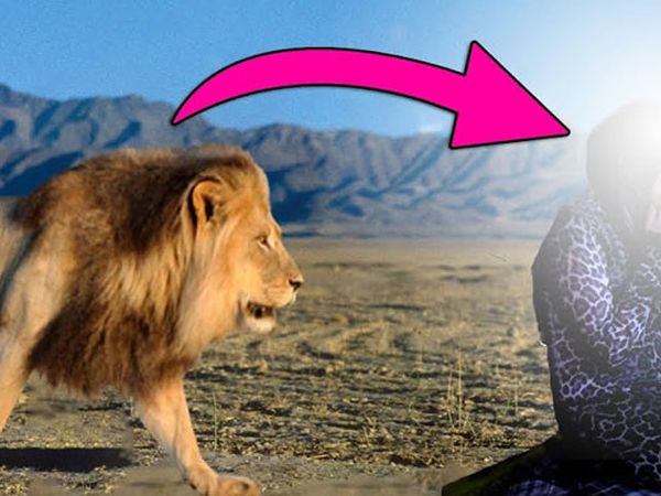 Namaz Kılan Kadının Yanına Aslan Geldi