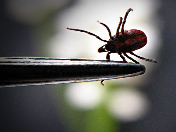 O bölgelerde yaşayan insanlar risk altında!