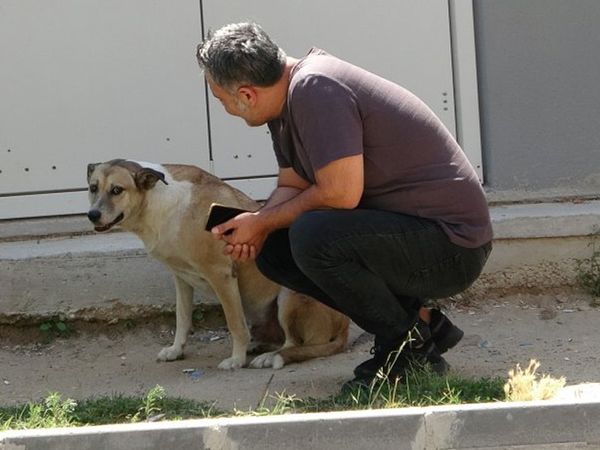 Paylaşım Rekorları Kıran Videonun Ardından Hayvansever Özay Kaya Açıklamalarda Bulundu