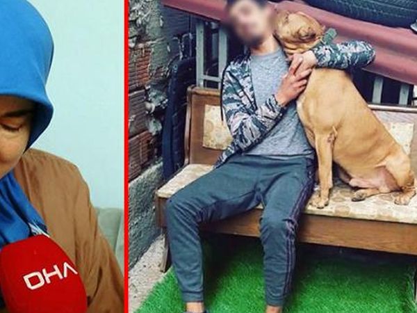 Pendik’te Genç Çocuk Yüzerken Pitbull Saldırısına Uğrayıp Hayatını Kaybetti