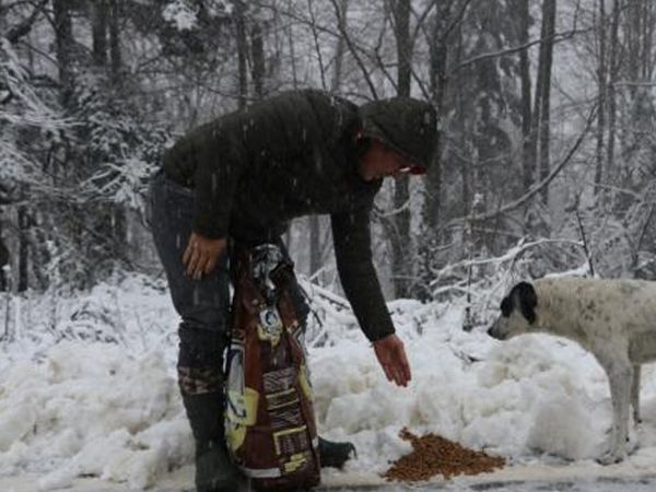 Sakarya'da Hayvanseverler Kar Yağışı Nedeniyle Yiyecek Bulamayan Sokak Hayvanlarını Unutmadı!