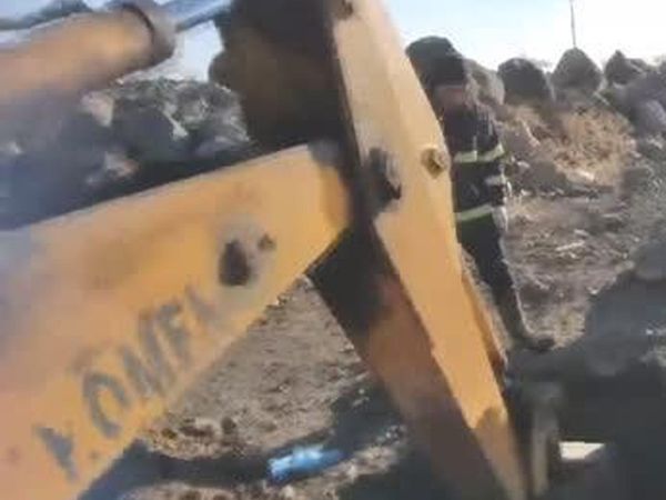 Şanlıurfa da Köpek Kanalizasyona Sıkıştı