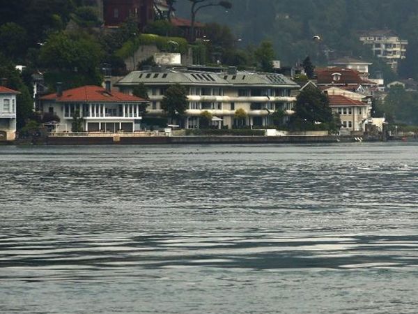 Sevimli Yunus Sürüsü İstanbul Boğazı'nda Dans Etti