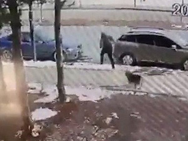 Sivas'ta köpek dehşeti: Panikle yola atlayan çocuğa araba çarptı! Metrelerce havaya fırladı