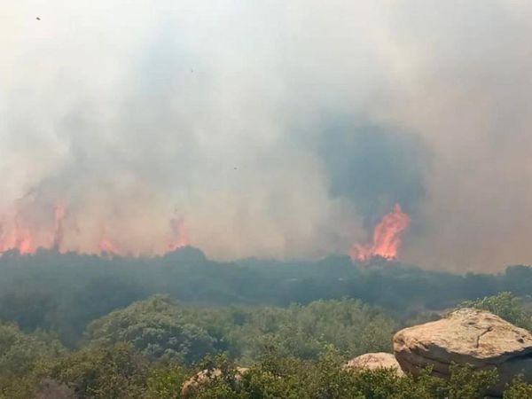 Son Dakika! Çanakkale'de korkutan orman yangını! Ekipler seferber oldu!