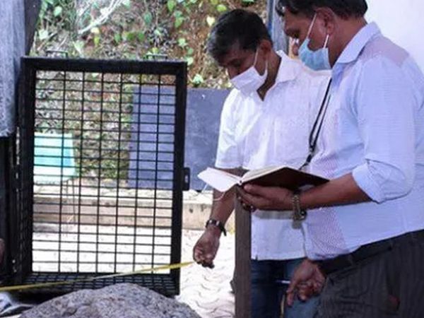 Sri Lankalı İşçiler Bahçede 100 Milyon Dolarlık Safir Buldu