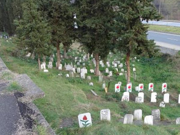 Trabzon'da Akıllara Durgunluk Veren Olay: Mezar Taşları Kayboluyor!