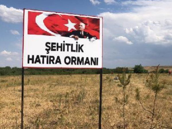 Turistin Sözlerine Üzüldü Köyüne Orman Kurdu