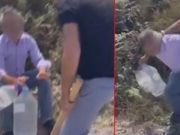 Tuzla’da Eşeğe Saldırmaya Çalışan Şoförü Sopayla Dövdüler!