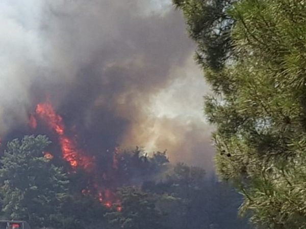 Yangınların Kontrole Alındığı Manavgat’ın Son Hali