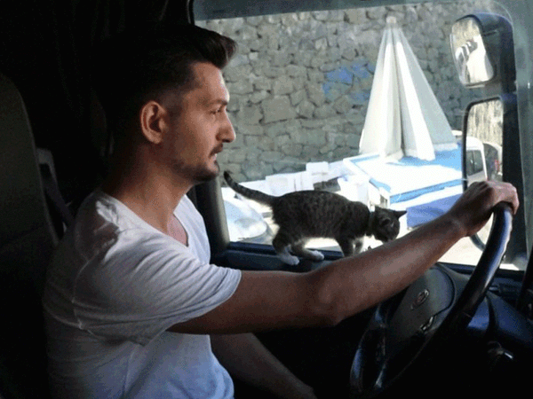 Yanına Aldığı Yavru Kediyle Birlikte 50 Bin Kilometre Yol Yapan Tır Şoförü: ‘O Benim Yol Arkadaşım’