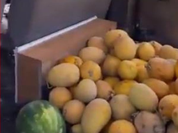Yaşlı Adam Kavunları Şarkı Eşliğinde Satarak Sosyal Medyada Viral Oldu