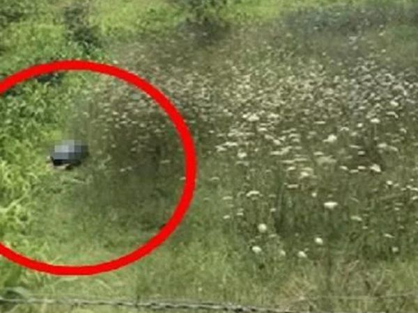 Yeni Yasayla İlk Kez O Yargılanacak! Tarlada Yaptıkları Kan Dondurmuştu