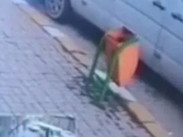 Zavallı Köpeğe Acımasız Saldırı