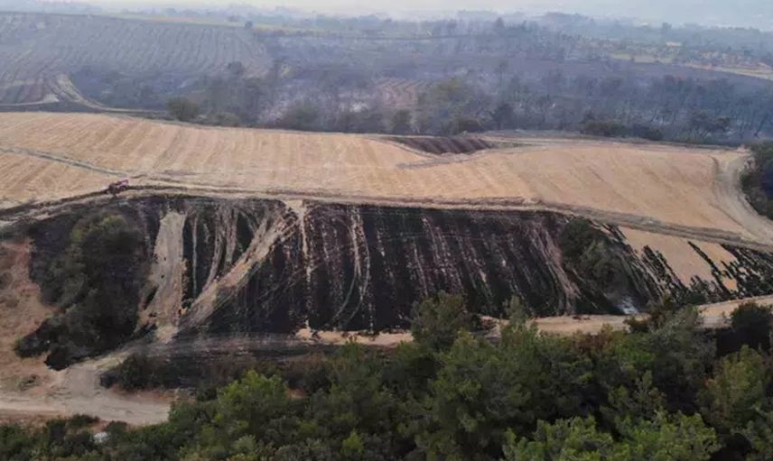 Bakan Yerlikaya'dan Çanakkale'deki orman yangını çalışmaları hakkında açıklama 