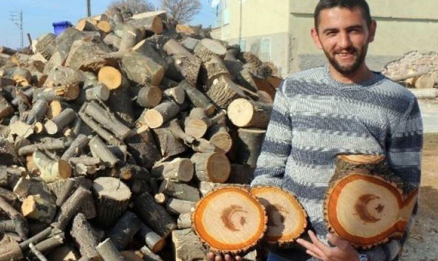 Kesilen Ağacın İçinden Türk Bayrağı Figürü Çıktı