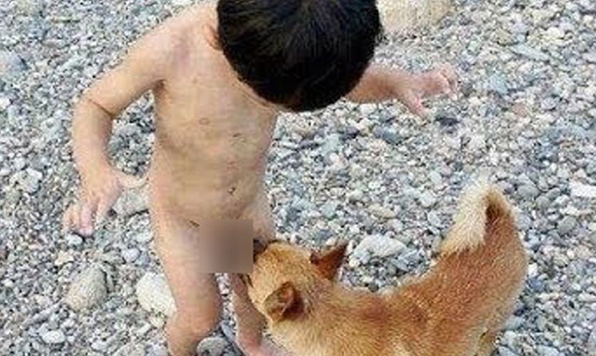 Görür görmez 'nasıl yani?' diyeceğiniz acayiplikte birbiriyle yarışan 15 fotoğraf