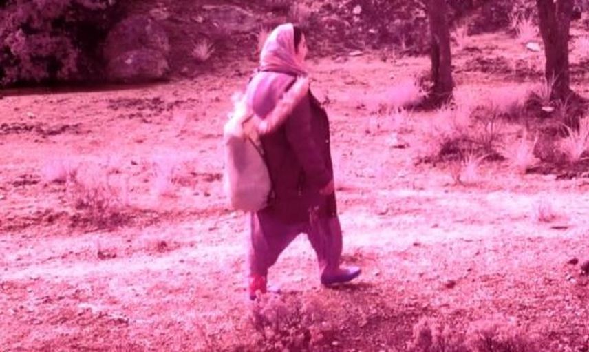 Fotokapana Yakalandı Kimse Yaptığına Anlam Veremedi!