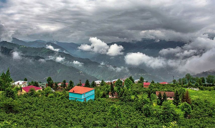 Ordu