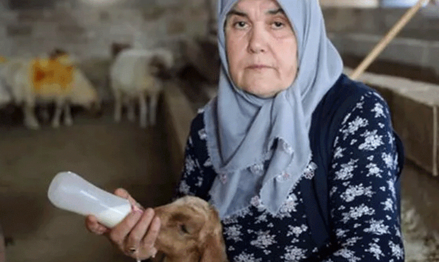 Yapamazsın Diyenlere İnat Gaziantepli Kadın Tek Başına Çiftlik Yönetiyor